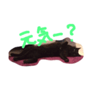 黒猫のんちゃんスタンプ by Rosinyan4（個別スタンプ：1）