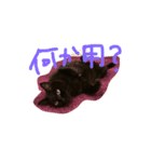黒猫のんちゃんスタンプ by Rosinyan4（個別スタンプ：8）