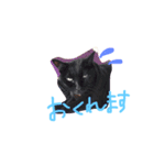 黒猫のんちゃんスタンプ by Rosinyan4（個別スタンプ：16）