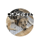 続・ポン太（個別スタンプ：2）