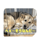 続・ポン太（個別スタンプ：5）