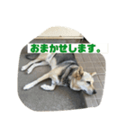 続・ポン太（個別スタンプ：14）