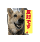 続・ポン太（個別スタンプ：16）