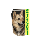 続・ポン太（個別スタンプ：17）