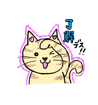 トラ猫とブチ猫の日常スタンプ（個別スタンプ：9）