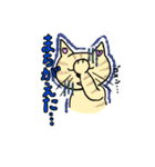 トラ猫とブチ猫の日常スタンプ（個別スタンプ：13）