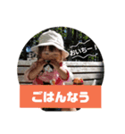 澪の1日スタンプ（個別スタンプ：2）