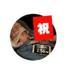 澪の1日スタンプ（個別スタンプ：14）