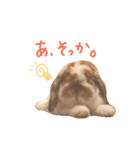 たれうさぎ もち ③（個別スタンプ：12）
