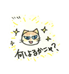 ラグドール系ミックス猫  まーたん（個別スタンプ：1）