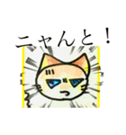 ラグドール系ミックス猫  まーたん（個別スタンプ：6）