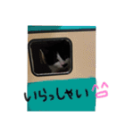 りく時々てん（個別スタンプ：34）
