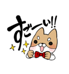 毎日使える！えこしば博士スタンプ（個別スタンプ：1）