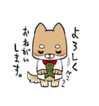 毎日使える！えこしば博士スタンプ（個別スタンプ：8）