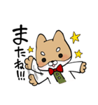 毎日使える！えこしば博士スタンプ（個別スタンプ：10）