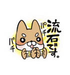 毎日使える！えこしば博士スタンプ（個別スタンプ：14）