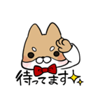 毎日使える！えこしば博士スタンプ（個別スタンプ：19）