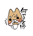 毎日使える！えこしば博士スタンプ（個別スタンプ：23）