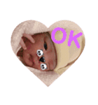 かわいいいろは2⃣（個別スタンプ：4）