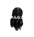 チワワのまろんくん（個別スタンプ：16）