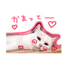 ミルクさんスタンプ2（個別スタンプ：5）