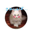 ミルクさんスタンプ2（個別スタンプ：7）