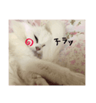 ミルクさんスタンプ2（個別スタンプ：12）