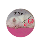 ミルクさんスタンプ2（個別スタンプ：15）