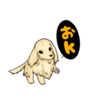 Pファミリー（個別スタンプ：9）
