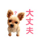 可愛いミックス犬  ウメちゃんとパピんちょ（個別スタンプ：18）