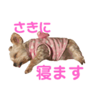可愛いミックス犬  ウメちゃんとパピんちょ（個別スタンプ：22）
