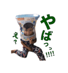 ゆまゆと（個別スタンプ：24）