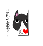 憑き猫（個別スタンプ：12）