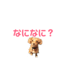 元気なシェリーちゃんのごあいさつ（個別スタンプ：7）