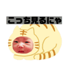 きよまさぶー（個別スタンプ：1）