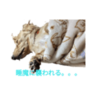 ミニチュアとカニヘン（個別スタンプ：2）
