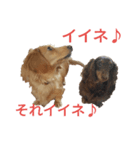 ミニチュアとカニヘン（個別スタンプ：7）