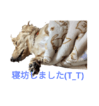 ミニチュアとカニヘン（個別スタンプ：8）
