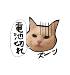 ハクのスタンプ第二弾（個別スタンプ：4）
