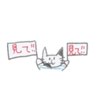 かわいいネコスタンプ（個別スタンプ：11）
