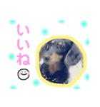 ちょこちゃーん（個別スタンプ：7）