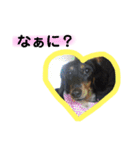 ちょこちゃーん（個別スタンプ：15）