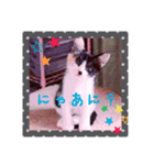 まめむぎちゃ（個別スタンプ：7）