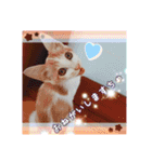 まめむぎちゃ（個別スタンプ：8）