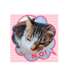 まめむぎちゃ（個別スタンプ：10）