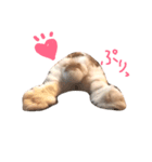 たれうさぎ もち（個別スタンプ：1）