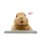 とってもオリーヴ（個別スタンプ：13）