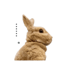 とってもオリーヴ（個別スタンプ：14）