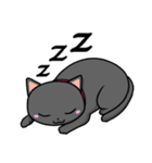 夜の黒猫さん（個別スタンプ：39）