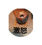 ゆきたん爬虫類・両生類スタンプ！（個別スタンプ：15）